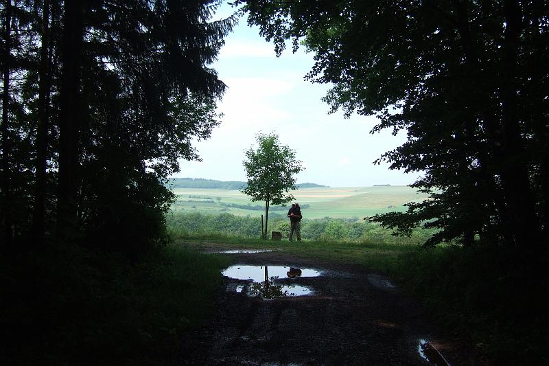 3-2-07 Waldende bei Tawern.JPG - Nach der Schlammwanderung ein Lichtblick auf den "Imrother Acker" bei Onsdorf